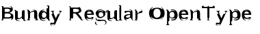 Bundy Regular Font