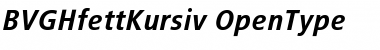 Download BVGHfettKursiv Font