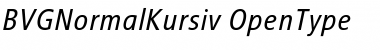 Download BVGNormalKursiv Font