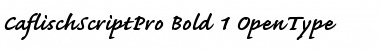 Caflisch Script Pro Font