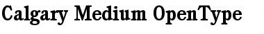 Calgary-Medium Regular Font