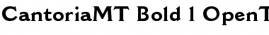 Download Cantoria MT Font