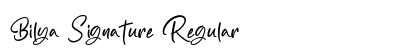 Bilya Signature Regular preview
