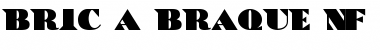 Download BricaBraque NF Font