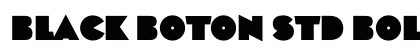 Black Boton Std Bold preview
