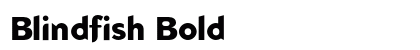 Blindfish Bold preview