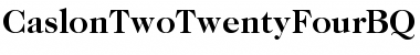 Download Caslon Two TwentyFour BQ Font