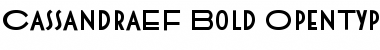 CassandraEF Bold Font