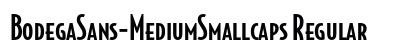 BodegaSans-MediumSmallcaps Regular preview