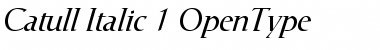 Bodoni BE Light Italic OsF Preview