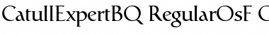 Catull Expert BQ Regular Font