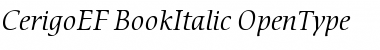 CerigoEF BookItalic Font