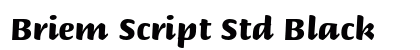 Briem Script Std Black Preview