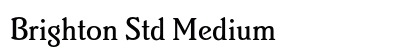 Brighton Std Medium preview