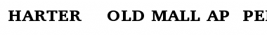 Charter Bold SmallCap Font