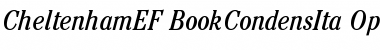 Download CheltenhamEF-BookCondensIta Font