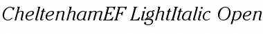 CheltenhamEF-LightItalic Regular Font
