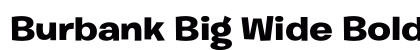 Burbank Big Wide Bold preview