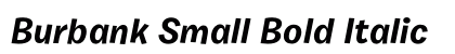 Burbank Small Bold Italic Preview