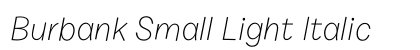 Burbank Small Light Italic Preview