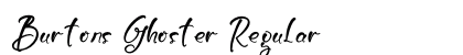 Burtons Ghoster Regular preview