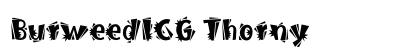 BurweedICG Thorny Preview