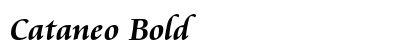 Cataneo Bold Preview
