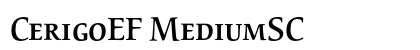 CerigoEF MediumSC preview