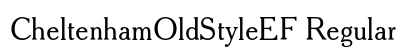CheltenhamOldStyleEF Regular preview