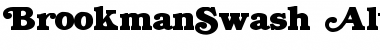 Download BrookmanSwash Alternates2 Unsw Font