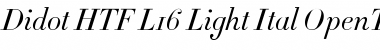 Didot HTF-L16-Light-Ital Font