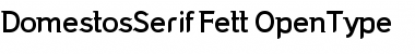 DomestosSerif Fett Font