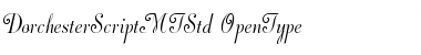 Download Dorchester Script MT Std Font