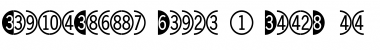 DoubleDigits Round Font