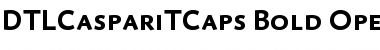 DTLCaspariTCaps Bold Font