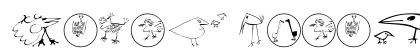 Birds Medium preview