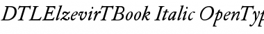 DTLElzevirTBook Italic Font