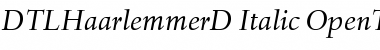 DTLHaarlemmerD Italic Font