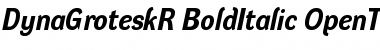 Download DynaGrotesk R Font