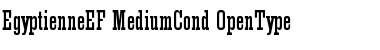 Download EgyptienneEF Font Download EgyptienneEF Font