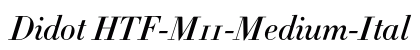 Didot HTF-M11-Medium-Ital Font
