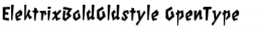 ElektrixBoldOldstyle Regular Font