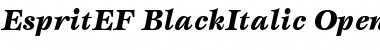 EspritEF BlackItalic Font