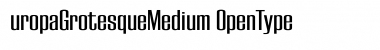 EuropaGrotesqueMedium Regular Font