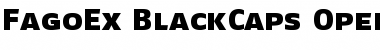 FagoEx BlackCaps Font