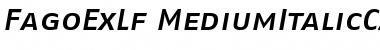 FagoExLf MediumItalicCaps Font