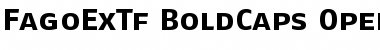 FagoExTf BoldCaps Font