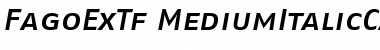 FagoExTf MediumItalicCaps Font