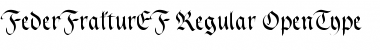 FederFrakturEF Regular Font