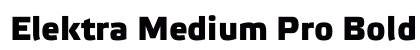 Elektra Medium Pro Bold preview